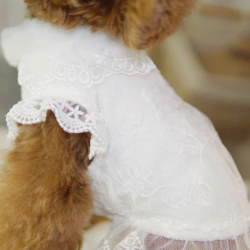 Winter Clothing For Kids - White Dog Clothes Winter Fur Collar