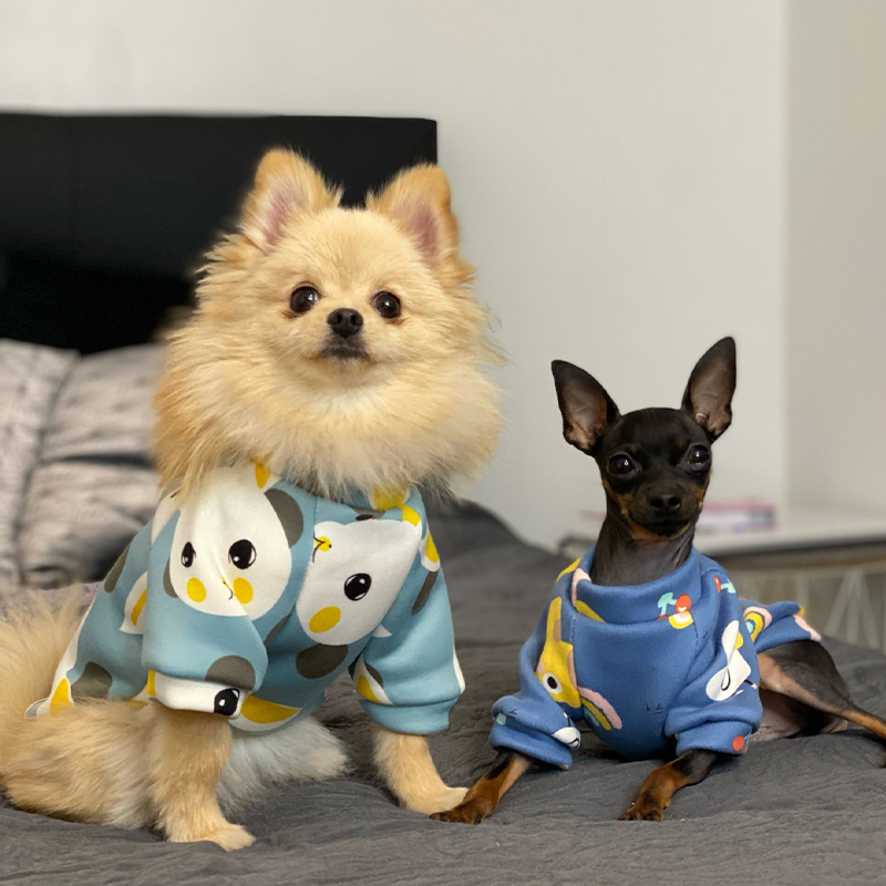 Xs Dog Clothes for Small Dogs  - Winter Clothing For Kids review and price
