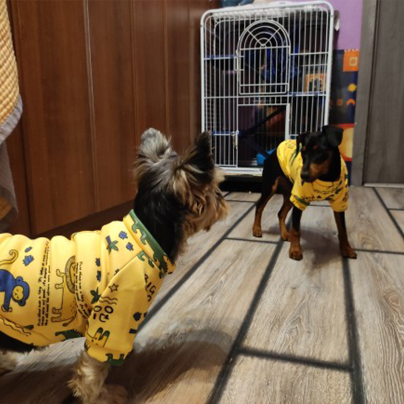 Xs Dog Clothes for Small Dogs  - Winter Clothing For Kids review and price