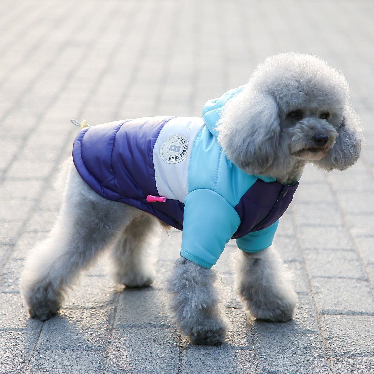 Pet Vest Pet Supplies Winter C - Winter Clothing Options review and price